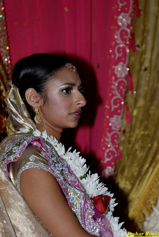 PAYAL_WEDDING-tr Image_1105.jpg